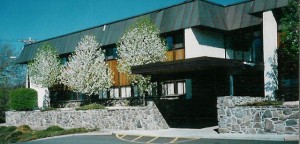 Fieldstone-wall-with-mortar-joints